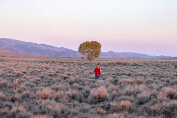 Man outside at dusk wearing 3bird